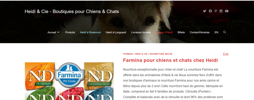 Blogue Heidi et cie