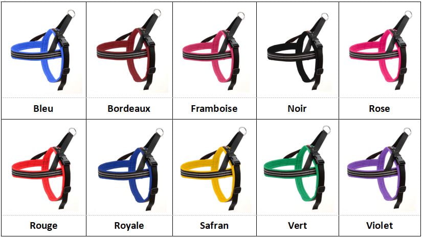 Couleurs des Harnais ComfortFlex chez Heidi & cie